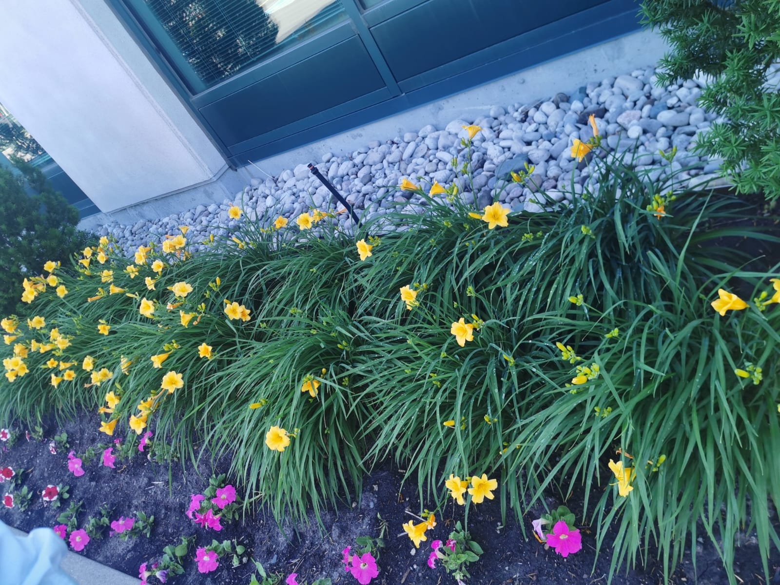 Images Green Ontario landscaping & snow removal