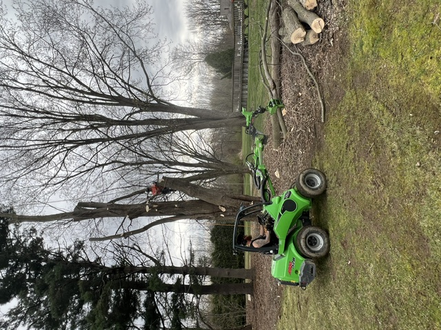 Lucca Landscaping & Construction LLC provides safe and efficient tree removal services to help protect your property and maintain a clean, open landscape. Whether due to damage, disease, or space planning, we handle each removal with precision and care. Our team is committed to completing every job with minimal disruption and maximum safety. You can count on us for professional service that gets the job done right.