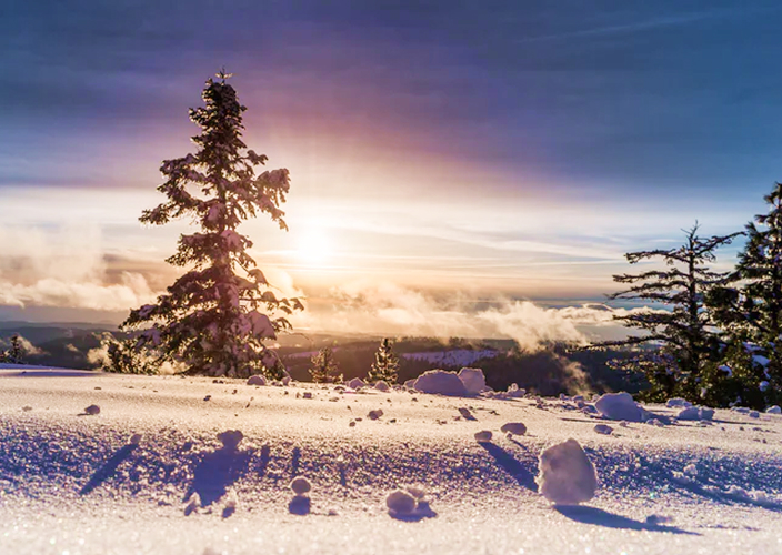 A single snow-covered pine is bathed in the golden glow of sunset at the top of a snow-capped mountain.