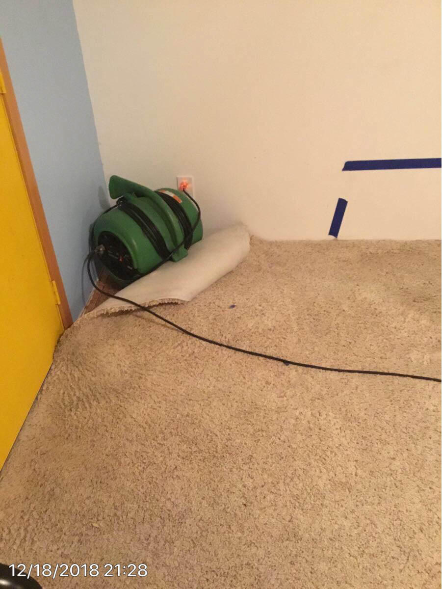 Has water damaged your carpets? SERVPRO of Renton has the training and the equipment to get your home dry.
