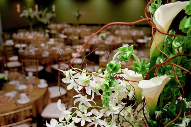 Images Hilton Garden Inn Seattle/Bothell, WA
