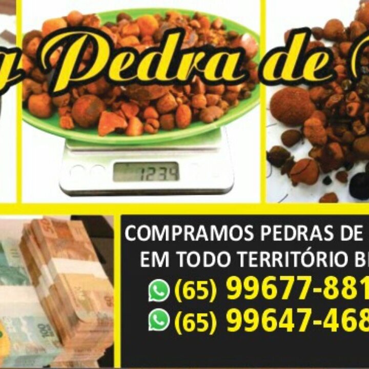 Images Dg pedras de fel bovinos