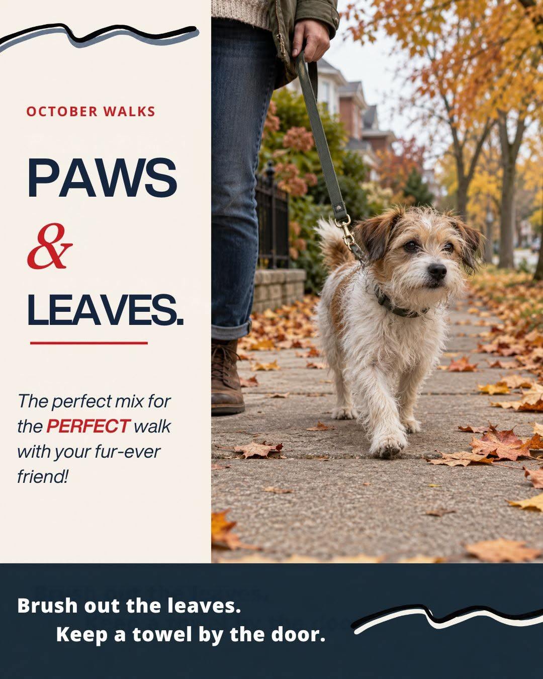 October walks bring home plenty of leafy souvenirs! A quick brush and a towel by the door can help keep the mess under control. What’s the funniest thing your pup has brought inside?
