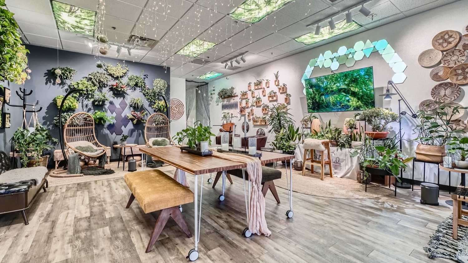 Our team at Rooting For You is dedicated to creating a warm and inviting space for you to get your plants and use our creative studio to relax and gain inspiration.
