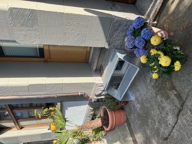 Bilder NYFELER AG