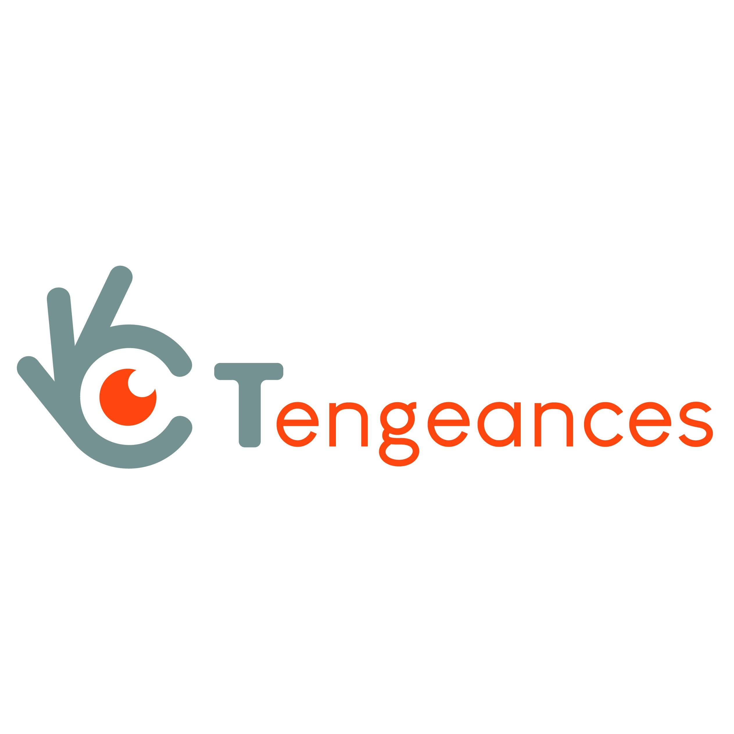 Tengeances Logo