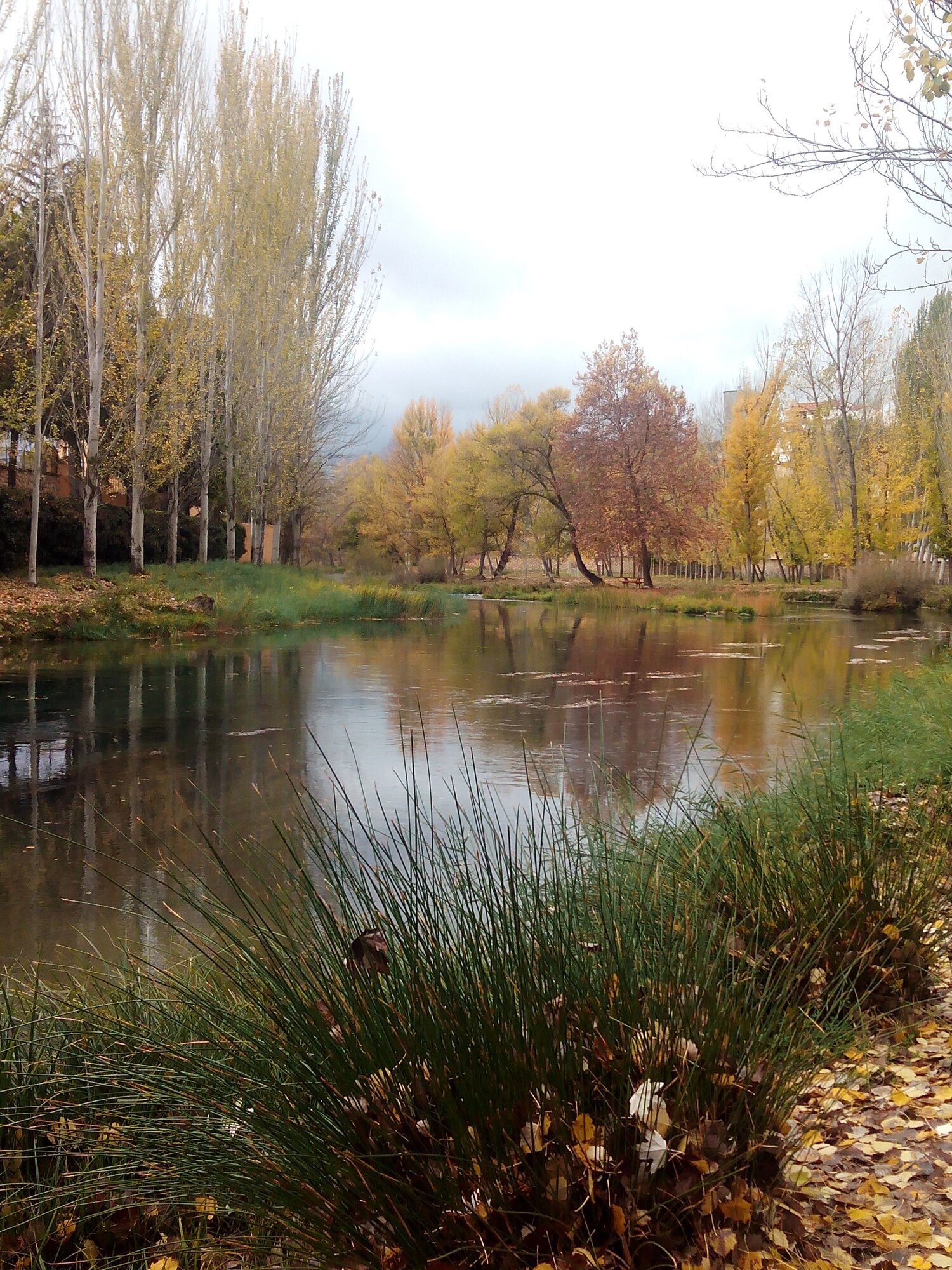 Images Lysmar, Centro de Psicología.