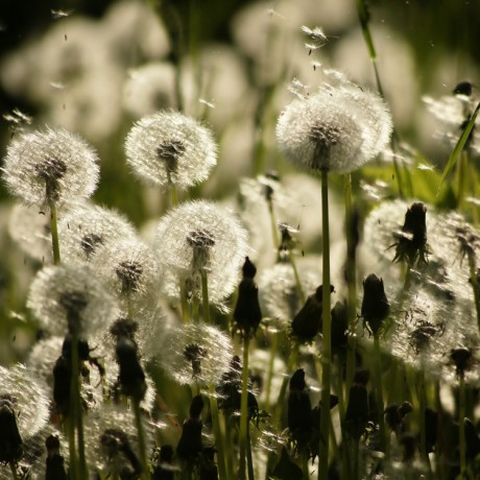 Fotostudio smirkART, Cöthner Straße 60 in Leipzig
