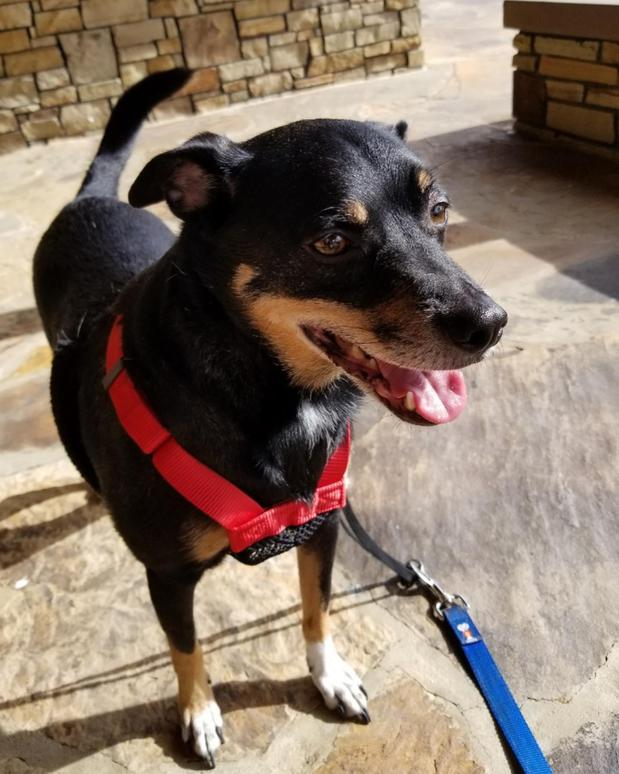 Images Ben Davis - State Farm Insurance Agent