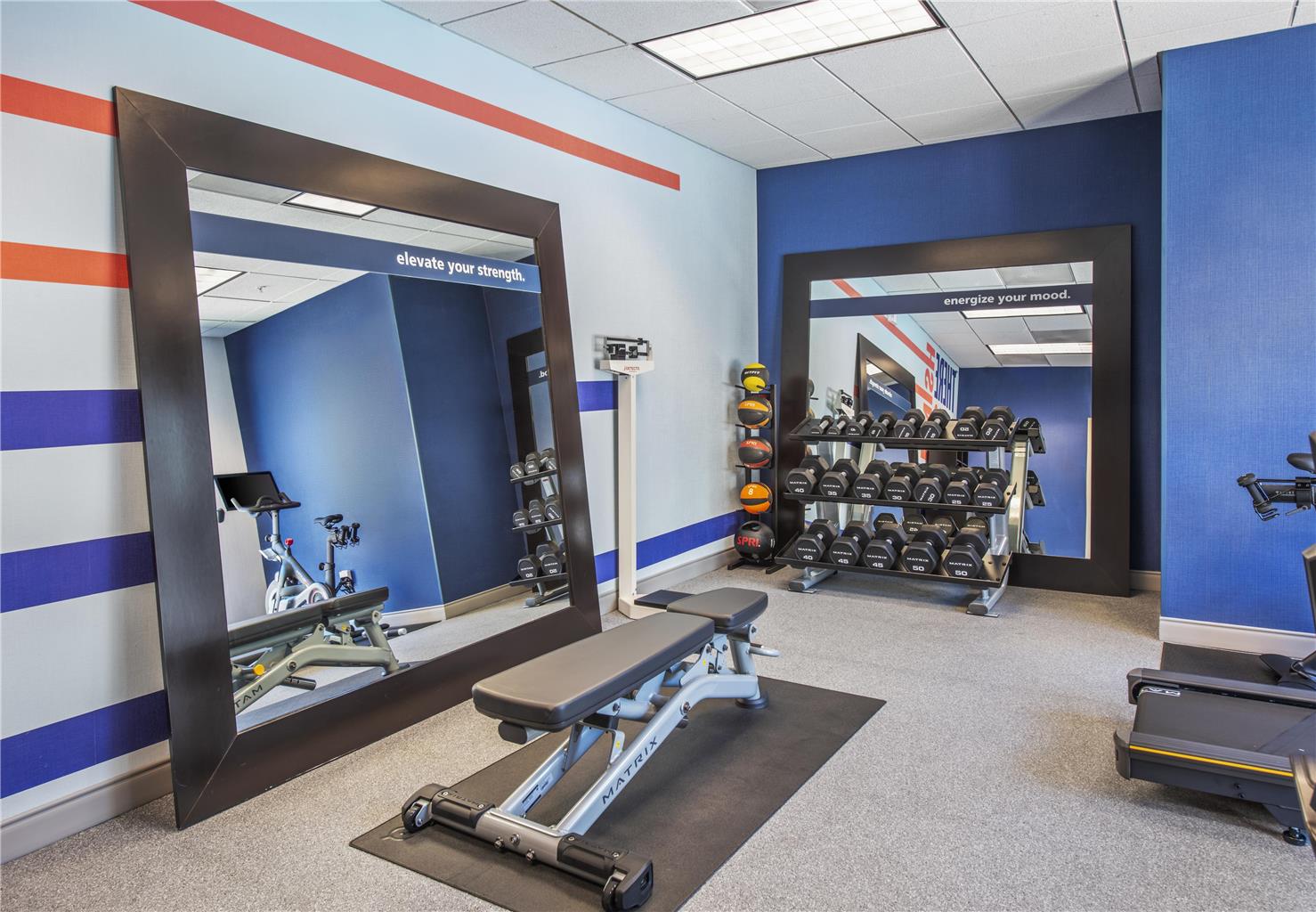 Health club fitness center gym