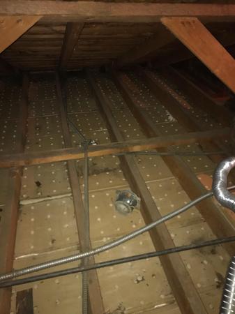Images Rodent Solution