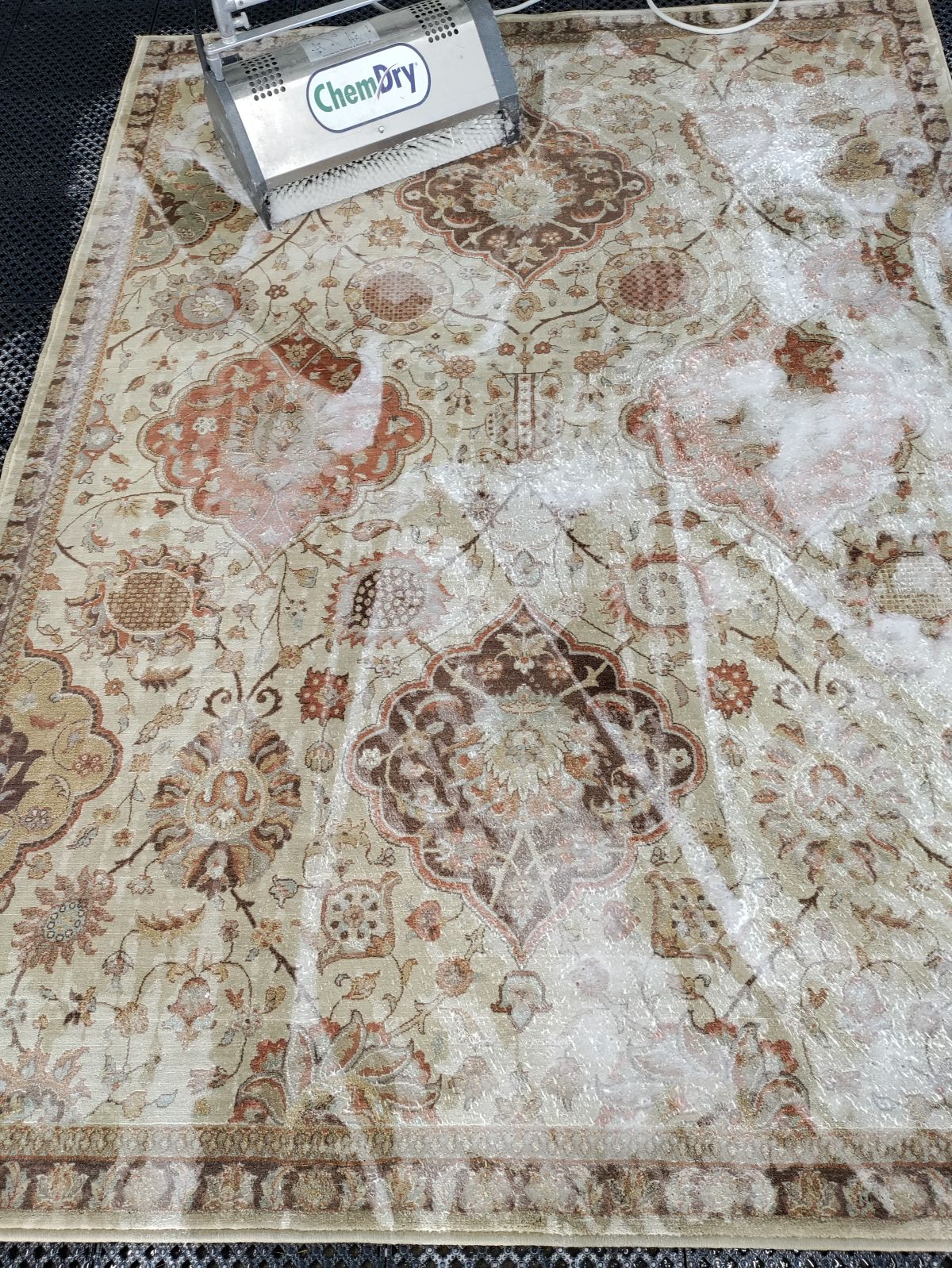 rug cleaning services chem-dry of allen county rug cleaners