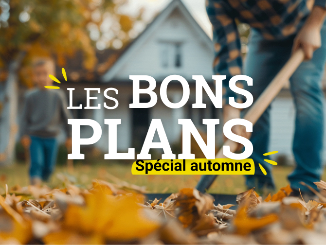 Bons Plans d'automne