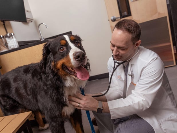 Images Banfield Pet Hospital