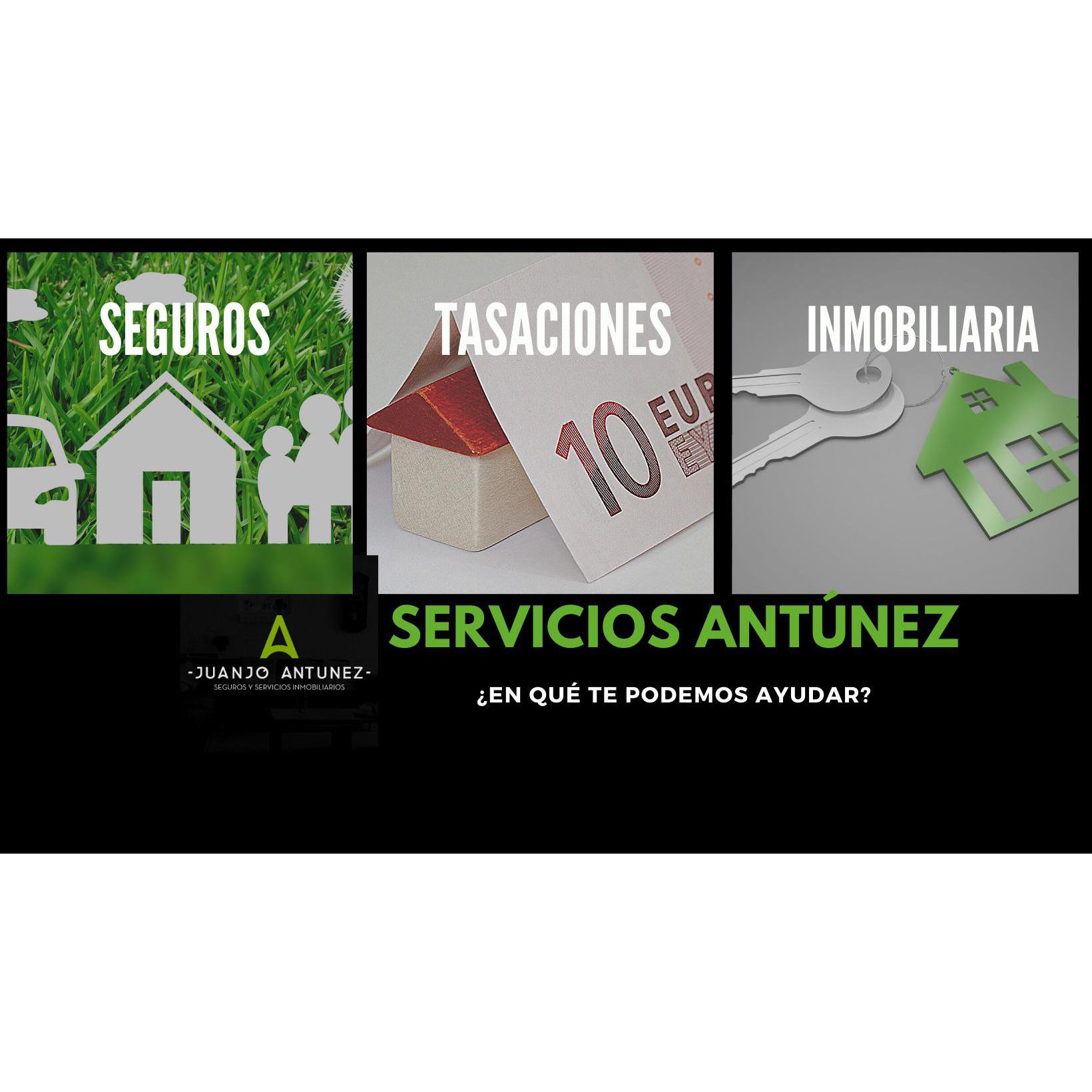 Servicios Antúnez Logo