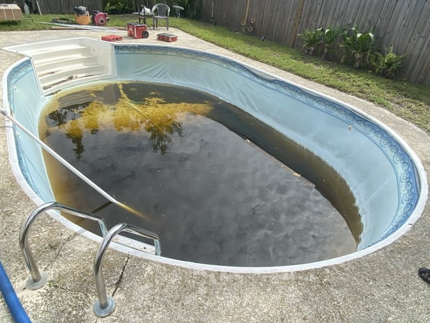 Images Paradise Palm Pools Inc