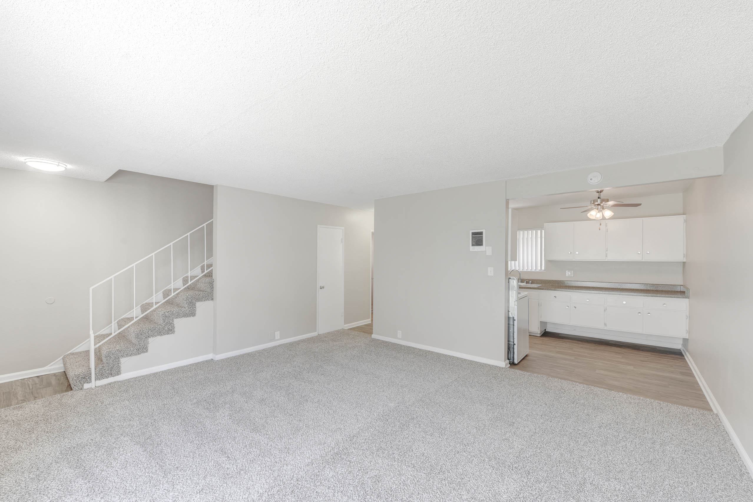 Trendy Master Carpeted