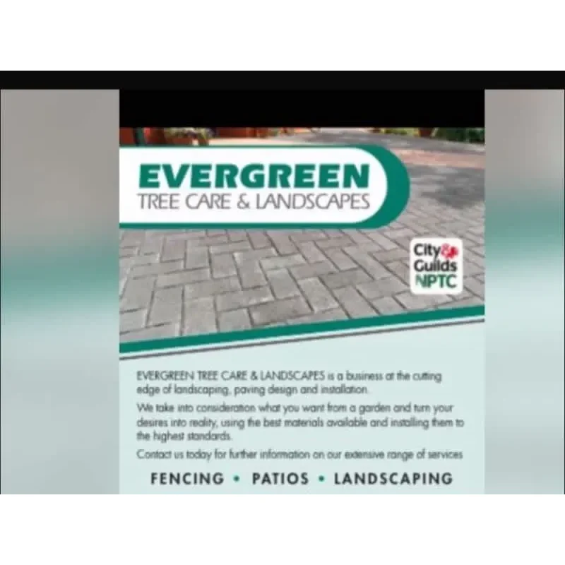 Evergreen Tree Care And Landscapes Logo