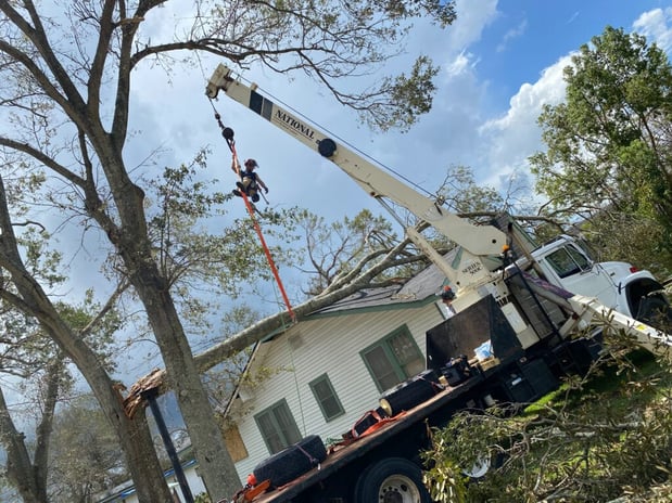 Images 3 Alarm Tree Rescue