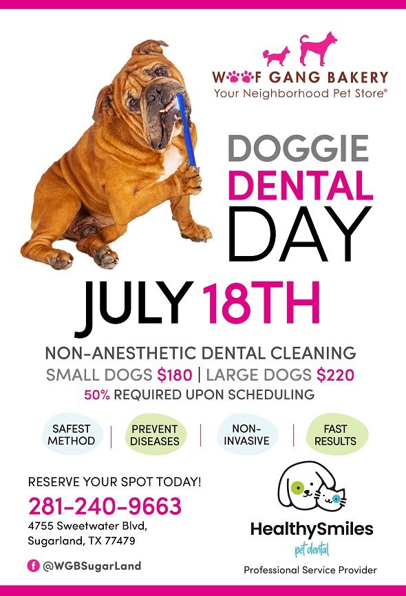 NonAnesthesia Doggie Dental Day Woof Gang Bakery And Grooming Sugar Land