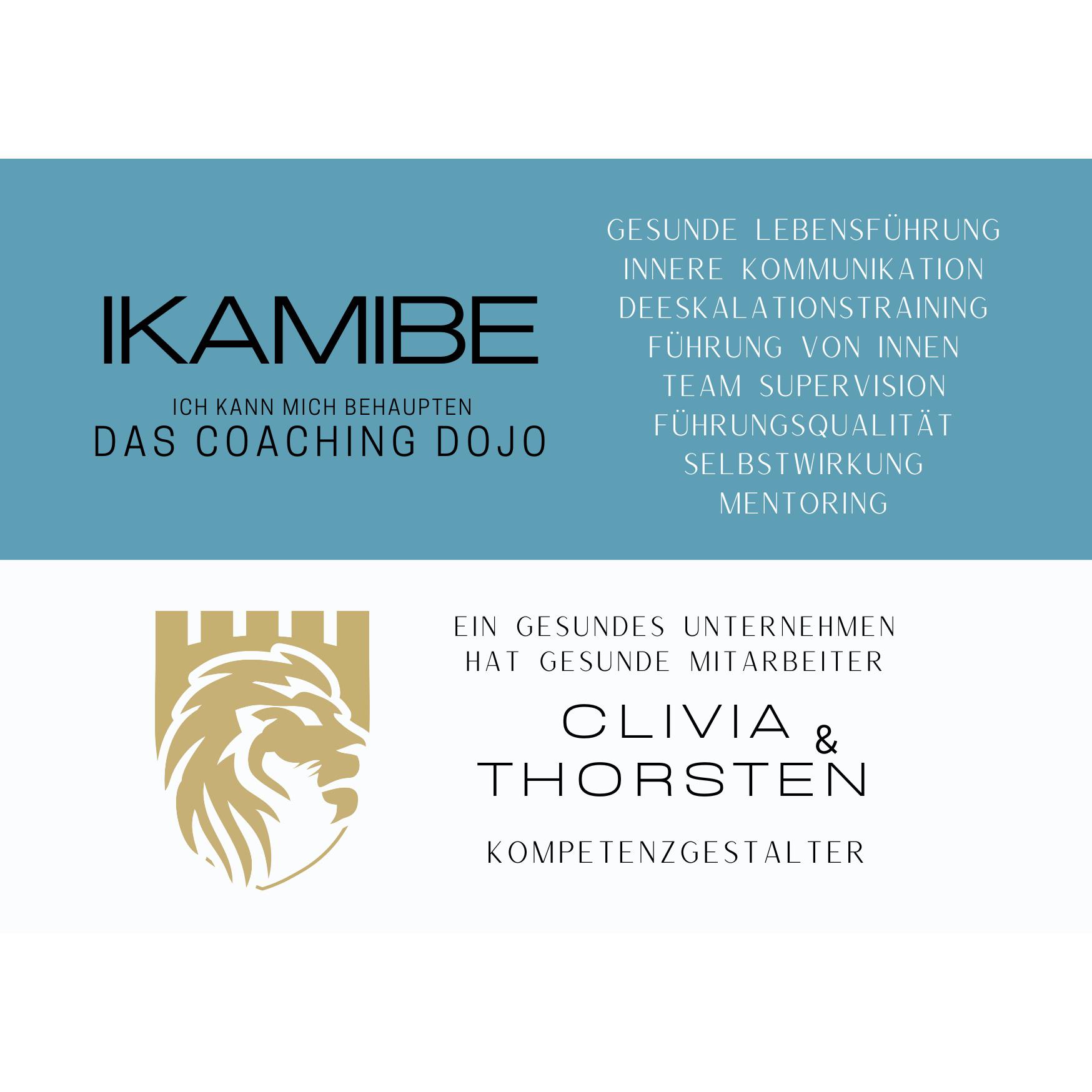 IKAMIBE - Das Coaching-Dojo Inh. Thorsten Siem Logo