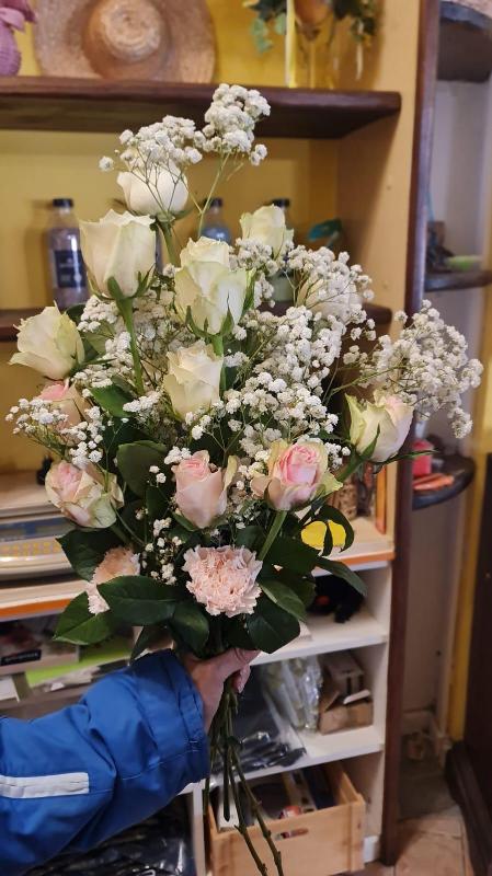 Images Agraria Hobby Verde