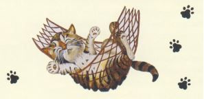Katzenpension 