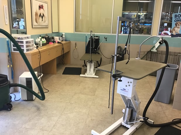 Images Petco Grooming