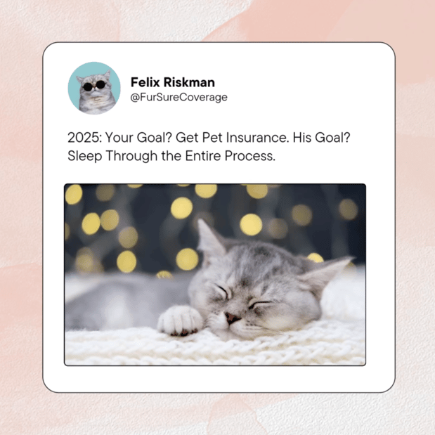 Images Gail Williams - State Farm Insurance Agent