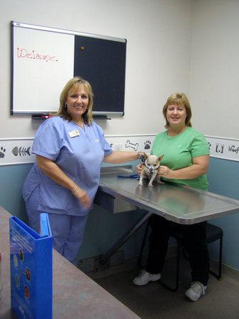 Images VCA Promenade Animal Hospital