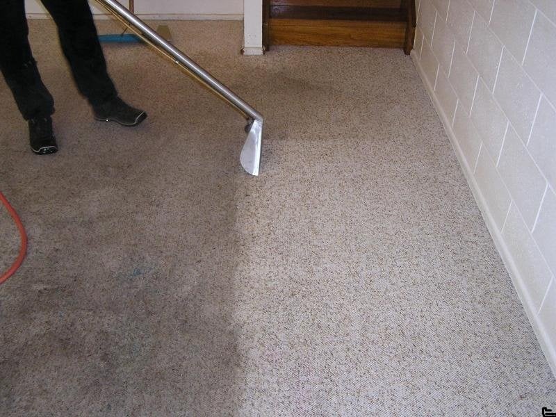 Warner Carpet And Tile Cleaning Photo