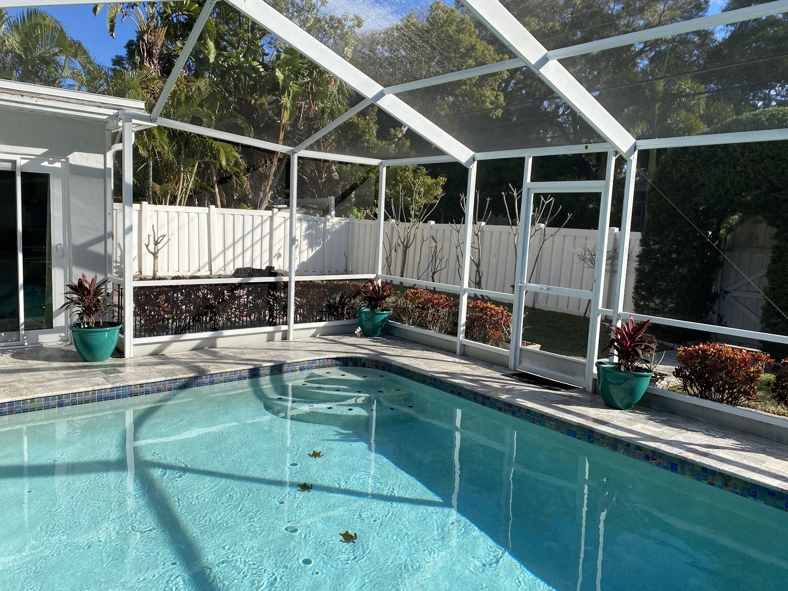 Screen-enclosed residential swimming pool with clear blue water, light decking, and some leaves and debris on the pool surface.