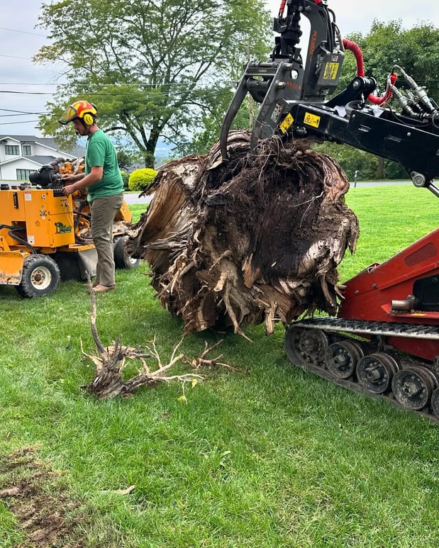 Images Friendly Tree Service Inc