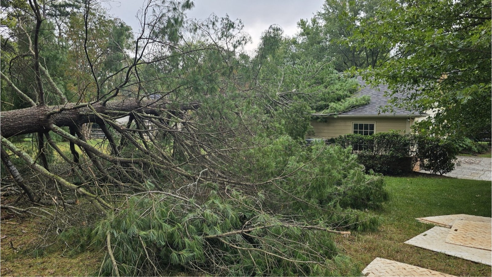 Fallen tree storm damage cleanup in Indian Trail, NC
