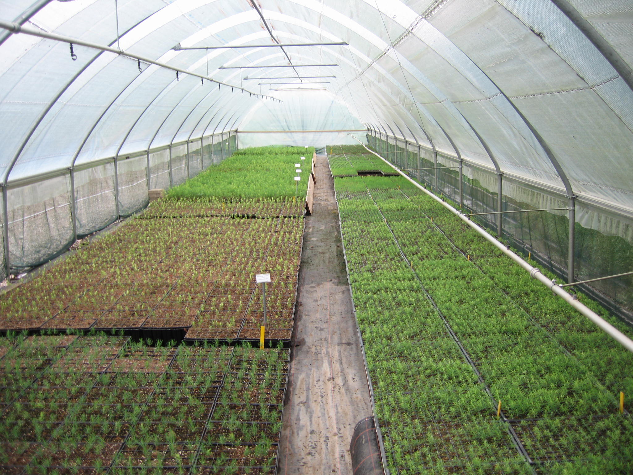 Emme Forstbaumschulen AG, Schachen 9 in Wiler b. Utzenstorf