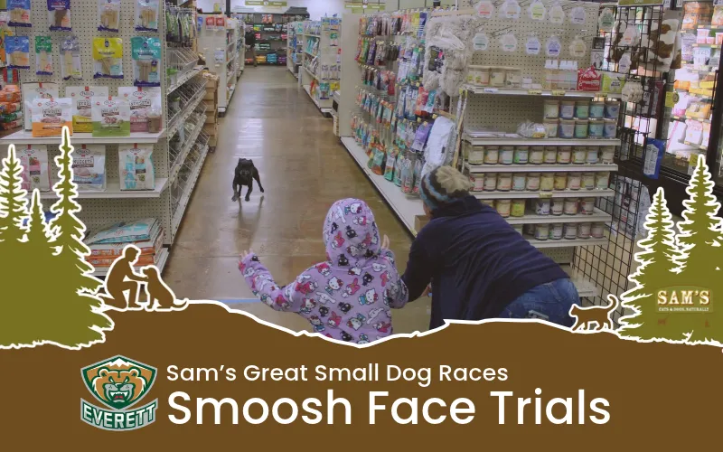 Image of Local Pet Event Silvertips | Smooshed Face Race Trials Nearby