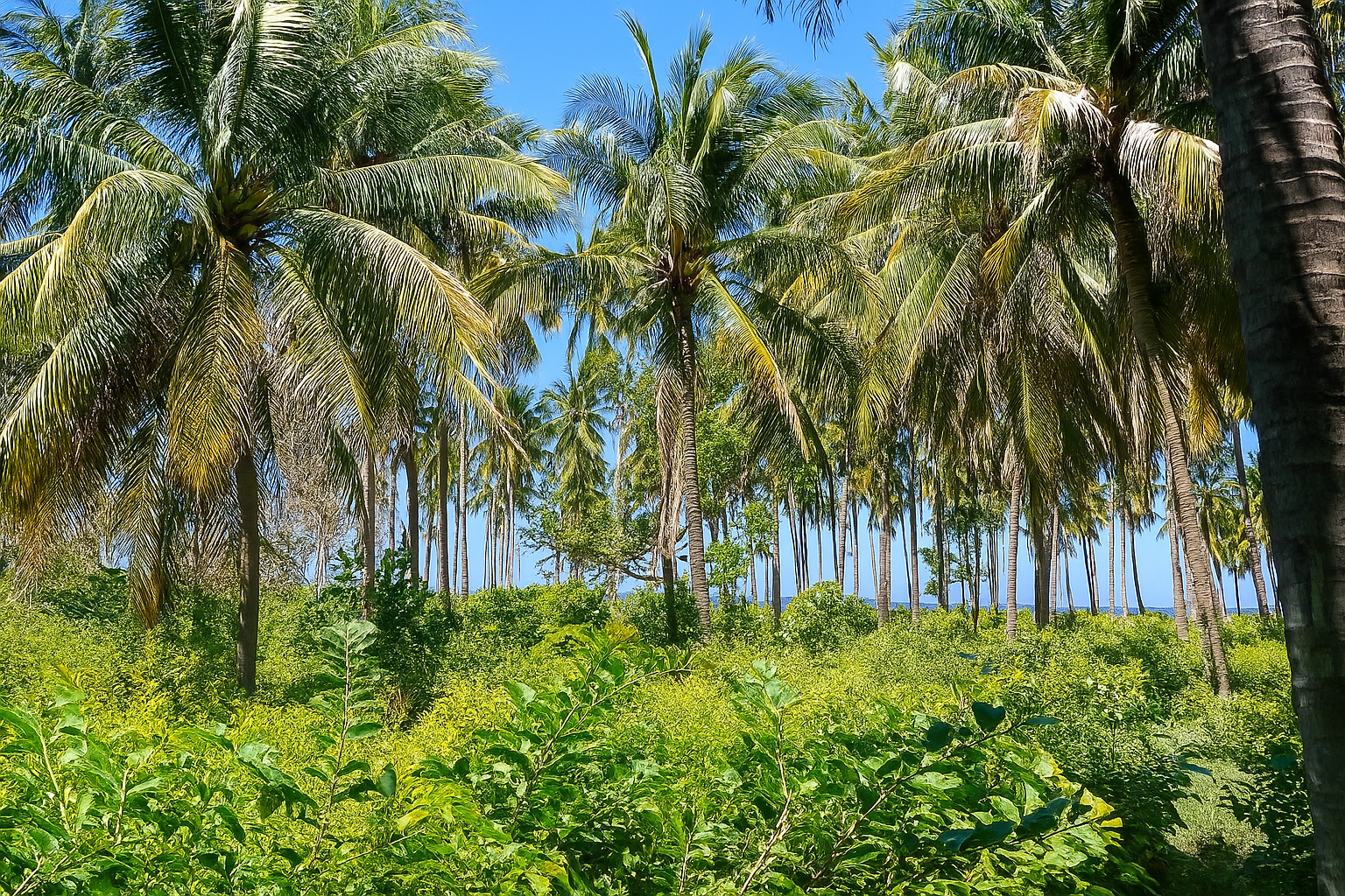 Images Inbercasa Inmobiliaria