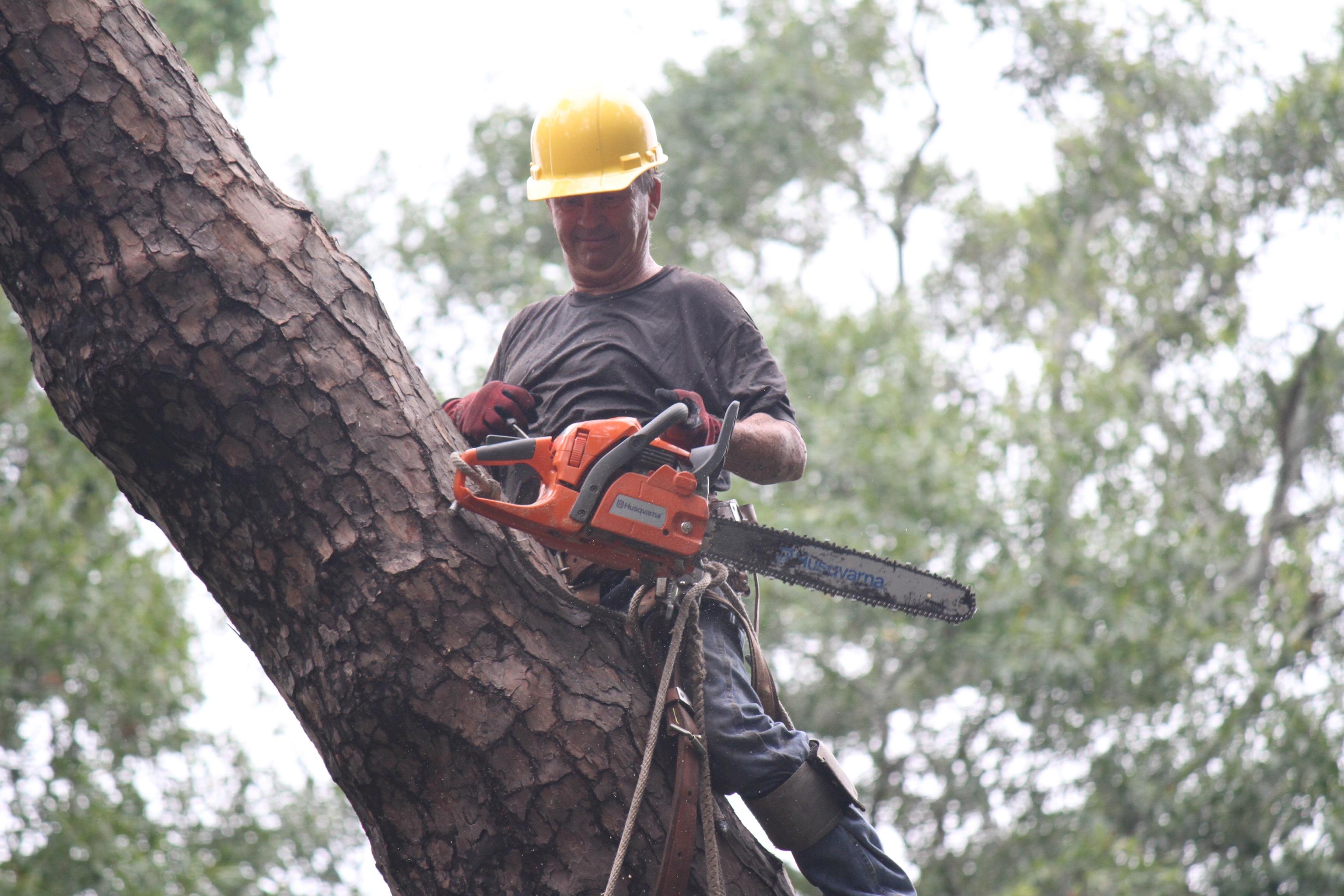 Coast To Coast Tree Service