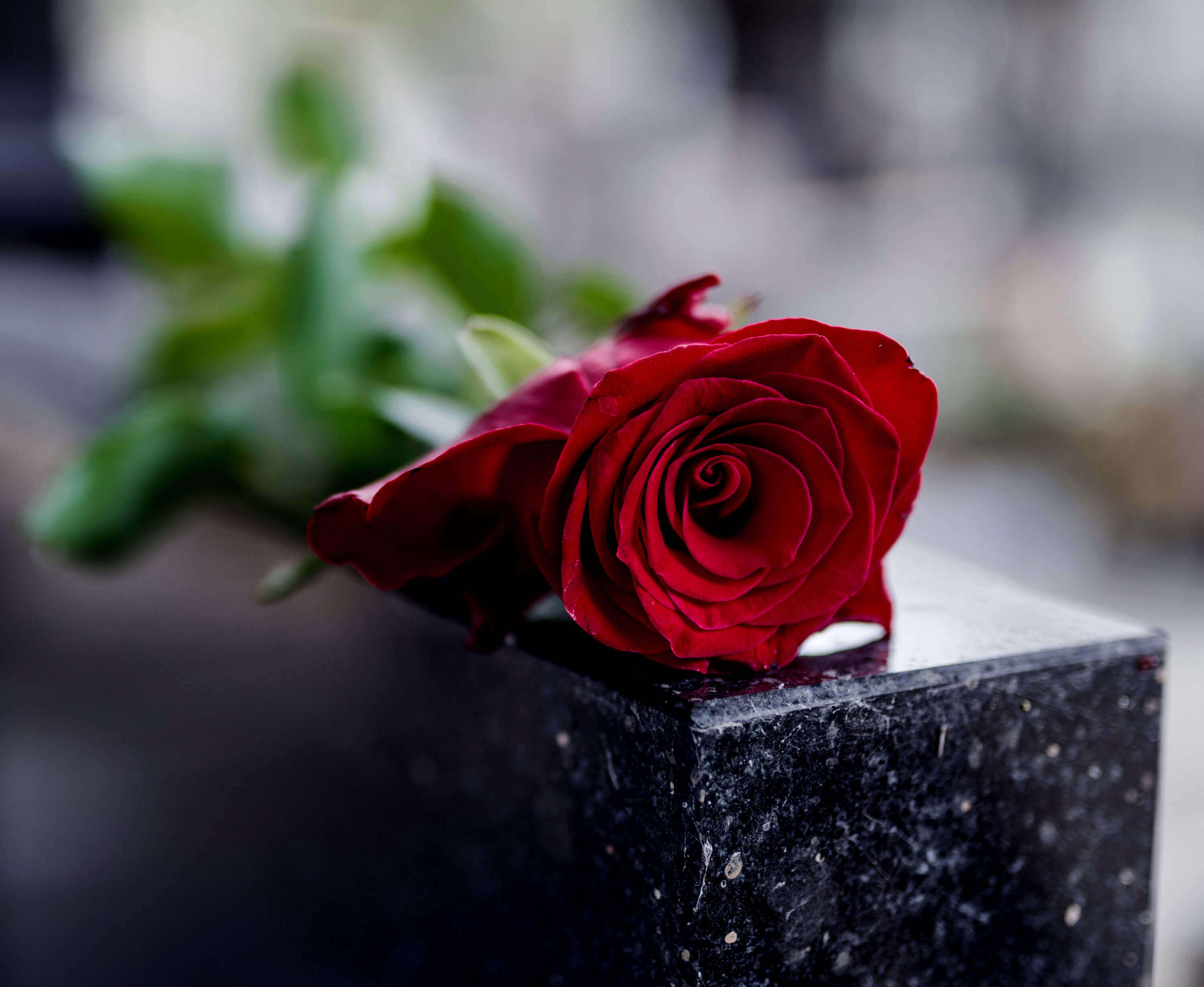 Bestattungswesen Rainer Welp, Papenburger Str. 237 in Westoverledingen