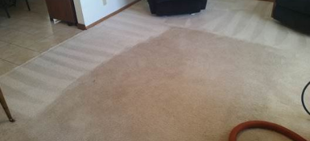 Images Ideal Carpet Cleaning