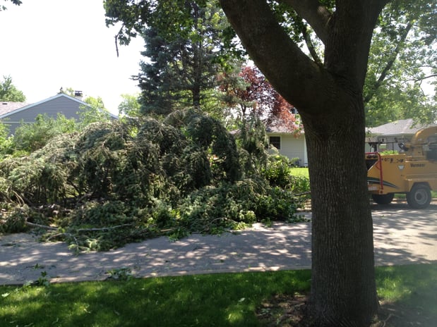 Images Gabriel's Landscape & Tree Services Inc.