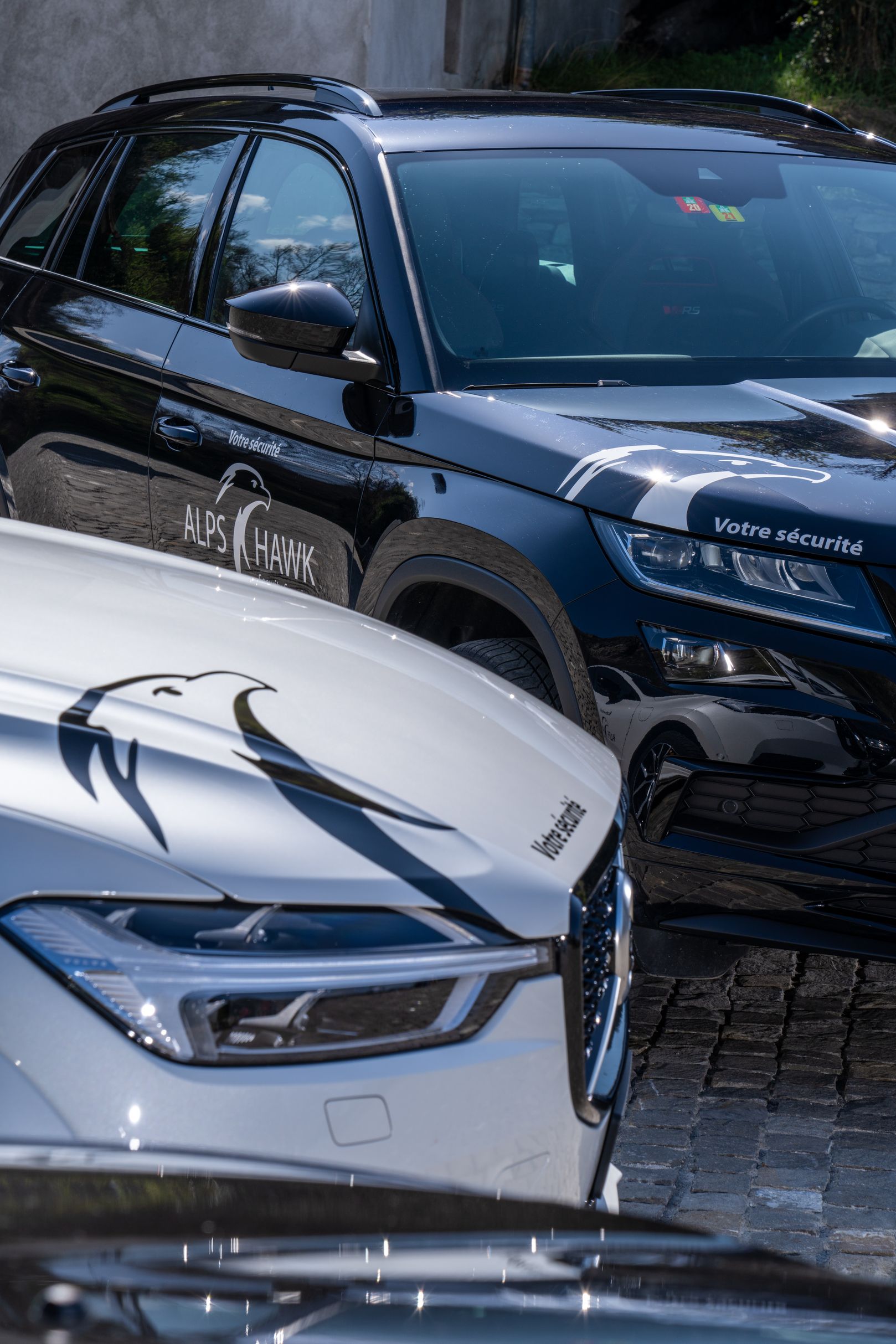 Bilder AlpsHawk Security Services SA