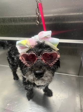 Images Kontota of NW Austin, TX