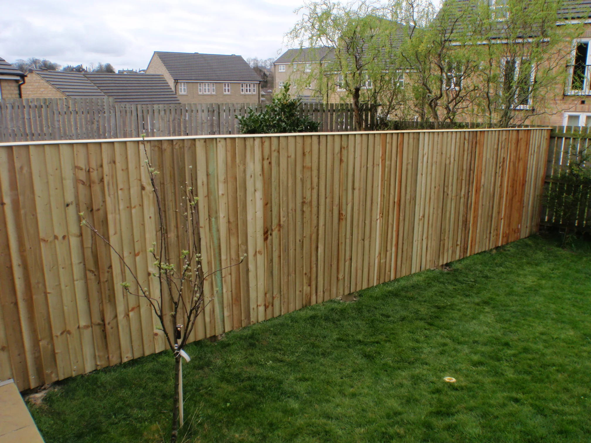 Images D & E Landscapes