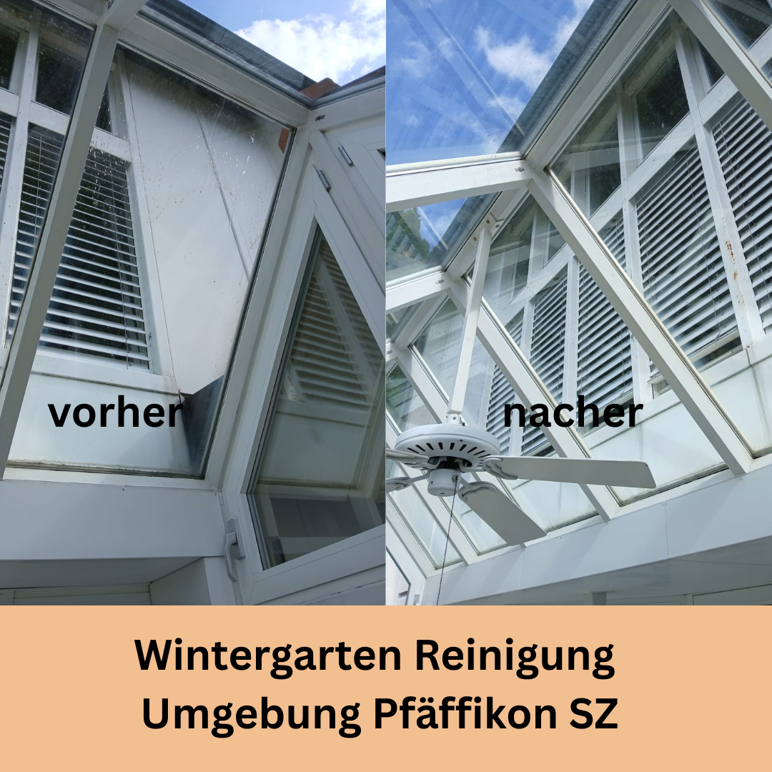 Bilder Sopa Reinigung