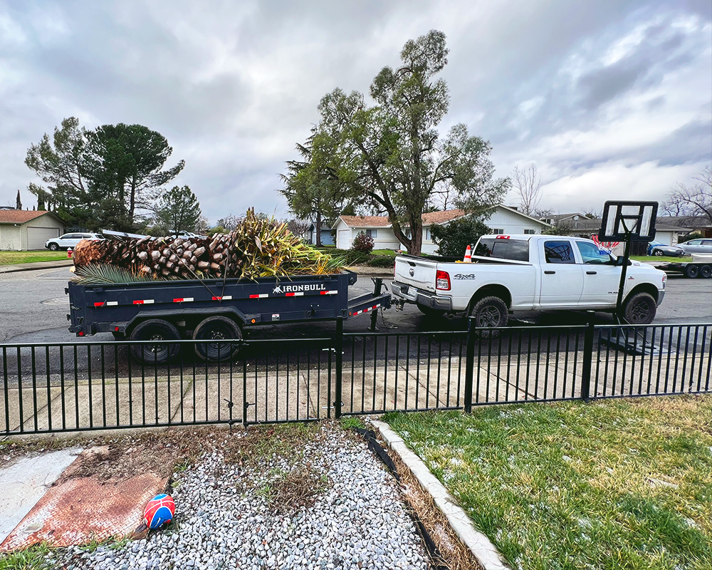 All Aspect Tree Service