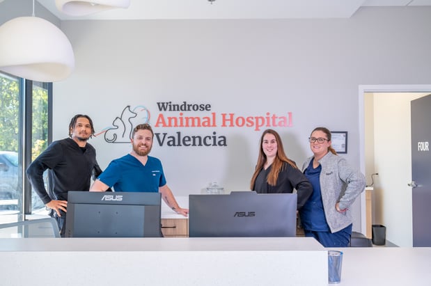 Images Windrose Animal Hospital Valencia