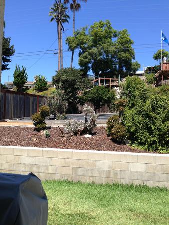 Images Utopia Property Management | Emeryville, CA