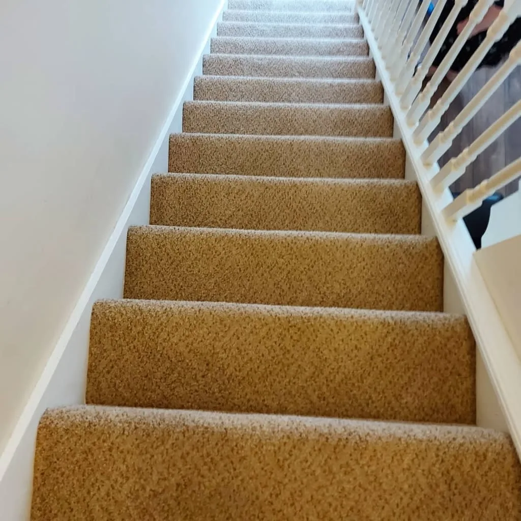 Images Titanium Cleaning