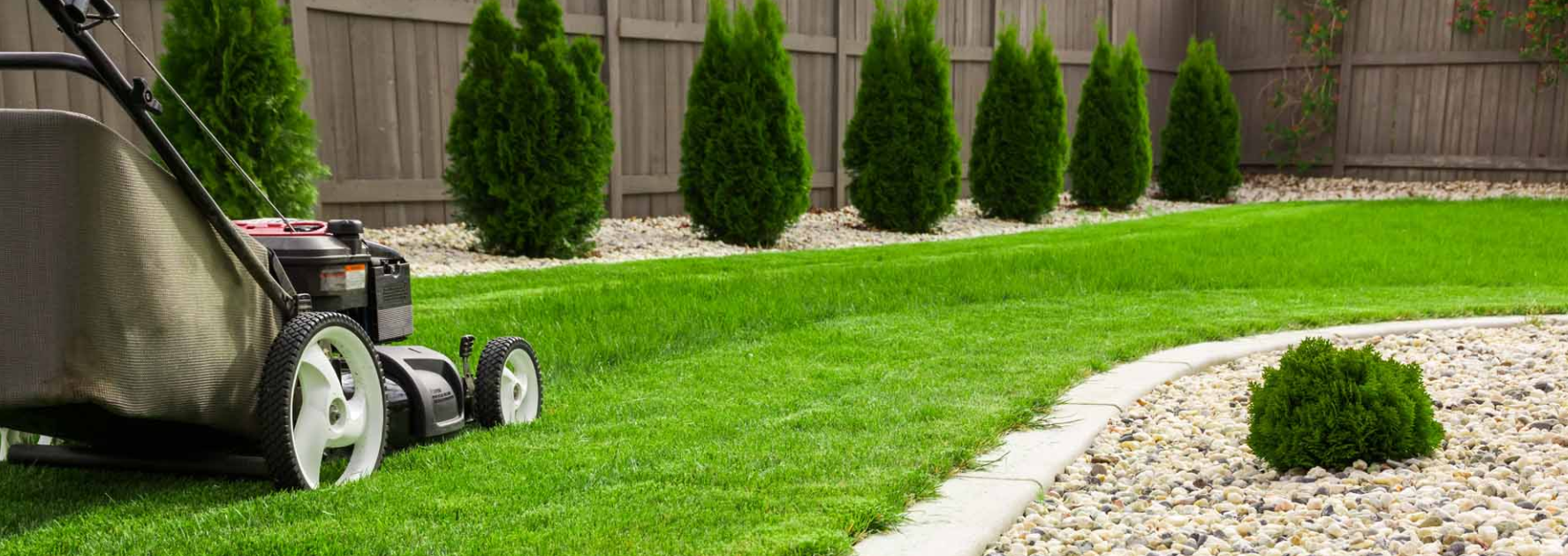 Zimmerberg Reinigung GmbH, Althardstrasse 146 in Regensdorf